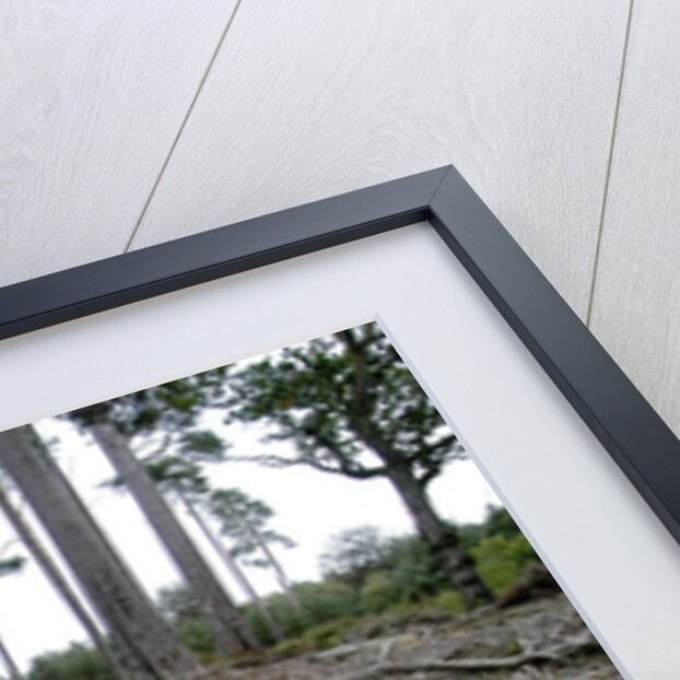 2004 Volvo XC90 by Unknown