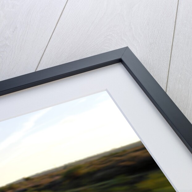 1975 Ford Escort RS2000 by Unknown