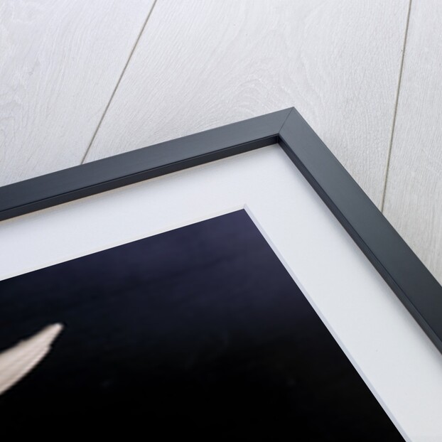 Wakefield Trophy by Unknown