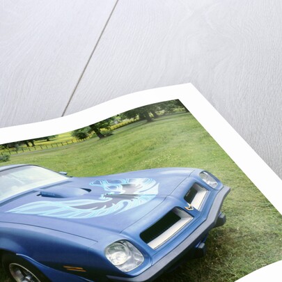1974 Pontiac Trans AM 455 Super Duty by Unknown