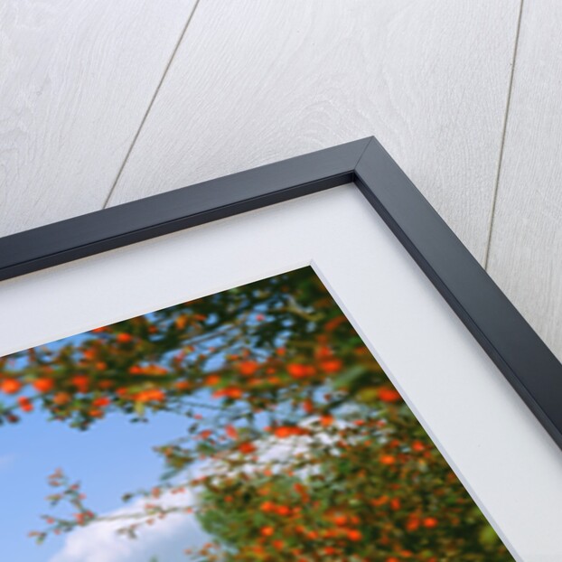 1938 Rolls Royce Phantom 3 by Unknown