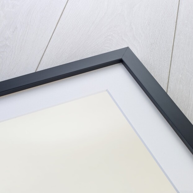 1973 Ford Capri RS 3100 by Unknown