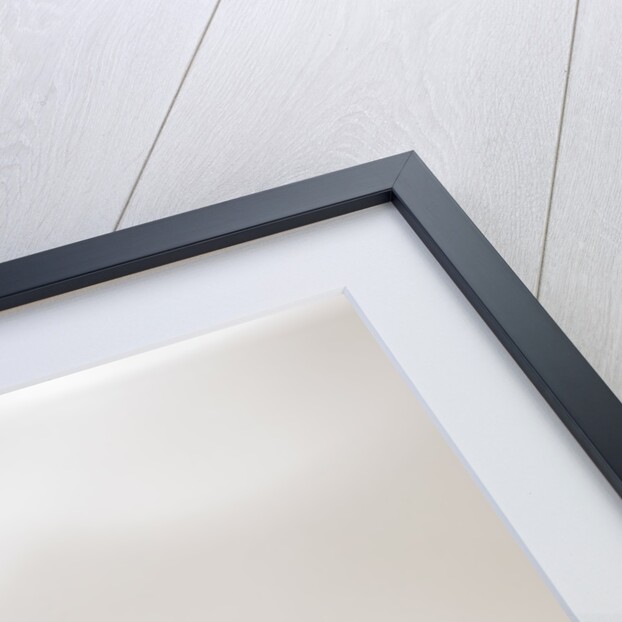 1983 Audi Quattro by Unknown