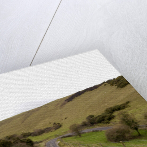 2004 Smart Forfour by Unknown