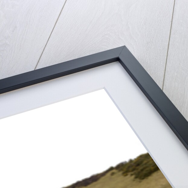 2004 Smart Forfour by Unknown