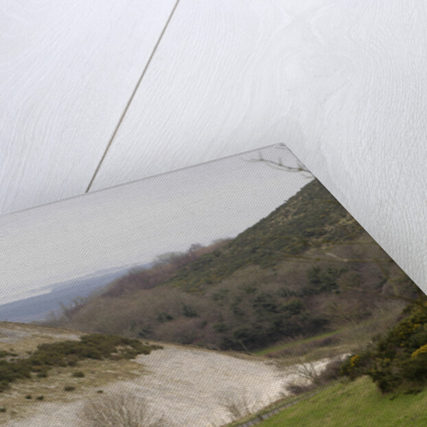 2004 Smart Forfour by Unknown