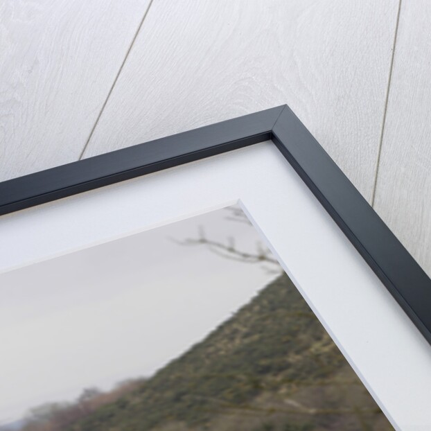 2004 Smart Forfour by Unknown