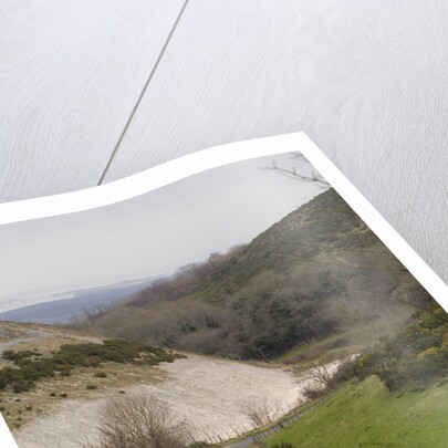 2004 Smart Forfour by Unknown