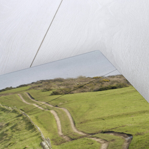 2004 Smart Forfour by Unknown