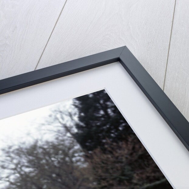 2004 Mercedes Benz C230 Kompressor by Unknown