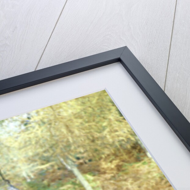 1915 Ford Model T by Unknown