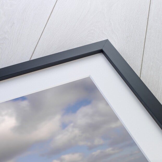 2004 Mercedes Benz SLK 200K by Unknown