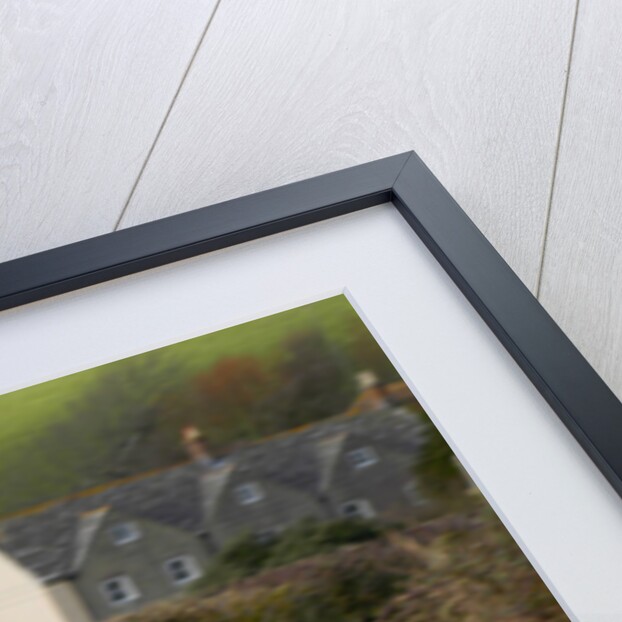 2004 Mercedes Benz SLK 200K by Unknown