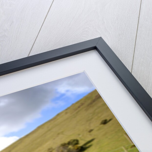 2004 Mercedes Benz SLK 200K by Unknown