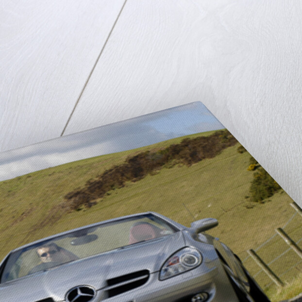 2004 Mercedes Benz SLK 200K by Unknown