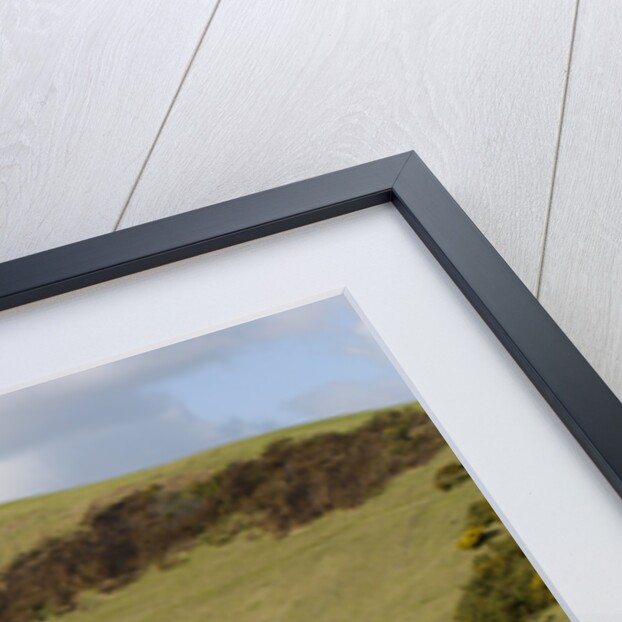 2004 Mercedes Benz SLK 200K by Unknown