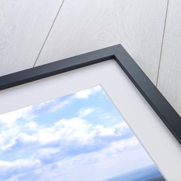 2004 Mazda RX8 by Unknown