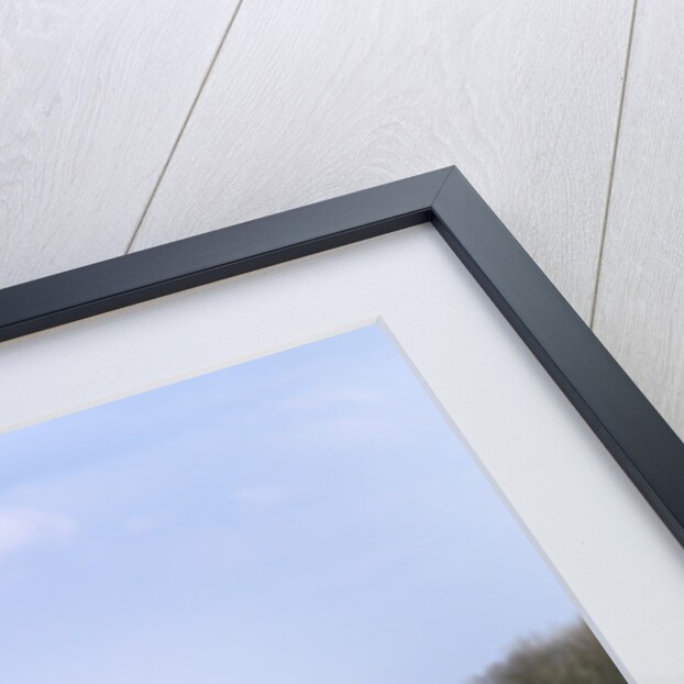 2004 Mazda RX8 by Unknown