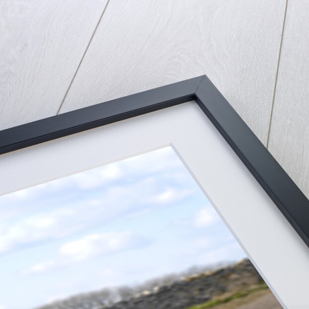 2004 Mazda RX8 by Unknown