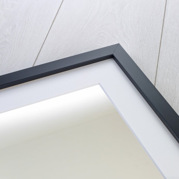 2003 Audi TT Roadster 225 by Unknown