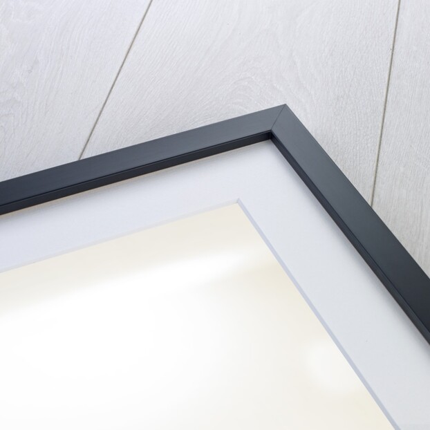 2004 Chrysler Crossfire by Unknown