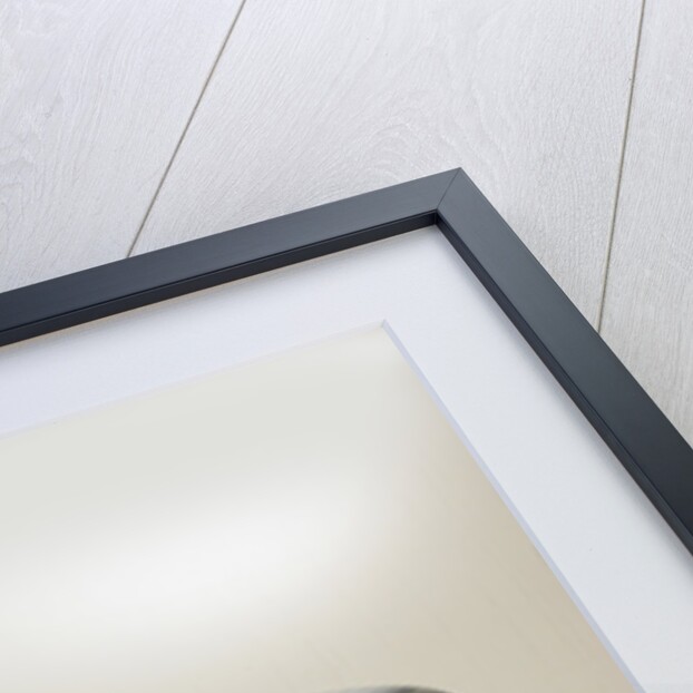 2004 Chrysler Crossfire by Unknown