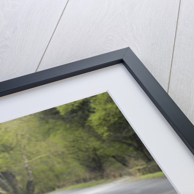 1998 Suzuki Swift Accident in 2004 by Unknown