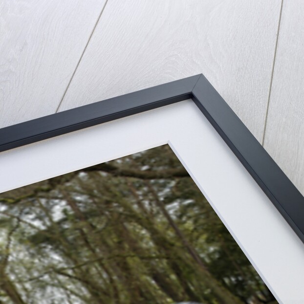 1998 Suzuki Swift Accident in 2004 by Unknown