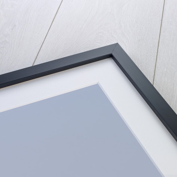 2004 Mini Cooper Convertible by Unknown