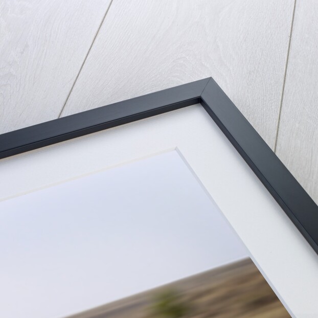 2004 Mini Cooper Convertible by Unknown