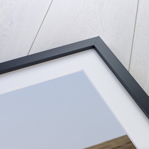 2004 Mini Cooper Convertible by Unknown