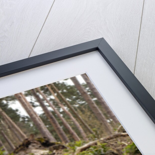 2004 Jeep Cherokee by Unknown