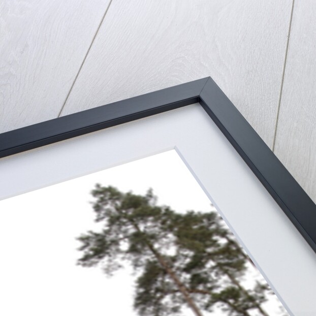 2004 Jeep Cherokee by Unknown