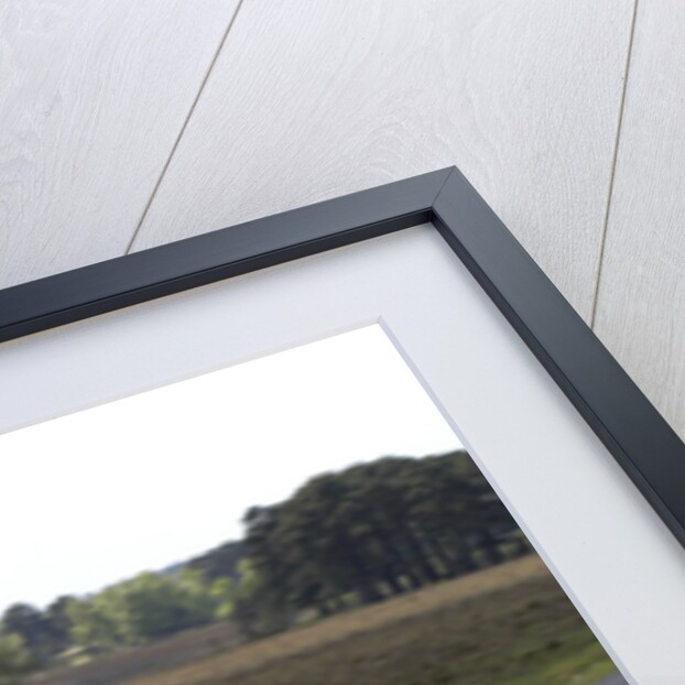 2004 BMW 318 Compact by Unknown