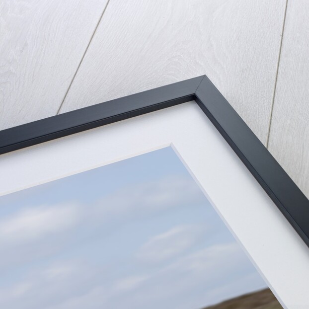 2004 BMW 318 Compact by Unknown