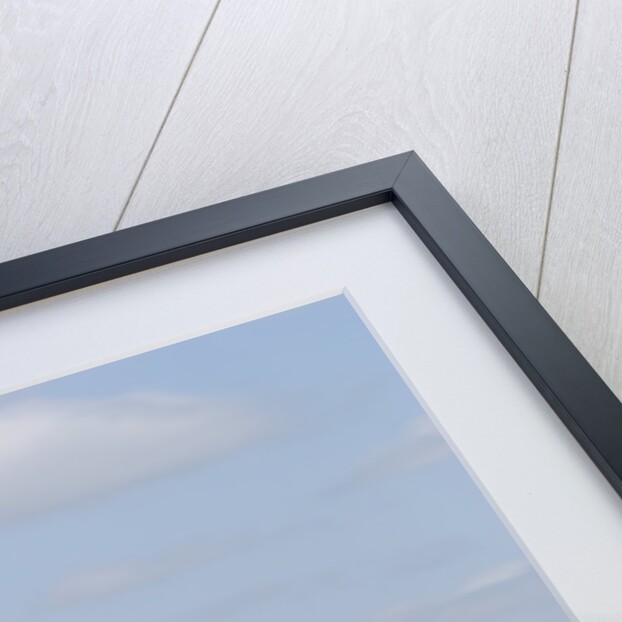 2004 BMW 318 Compact by Unknown