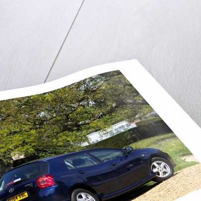 2004 Toyota Corolla by Unknown