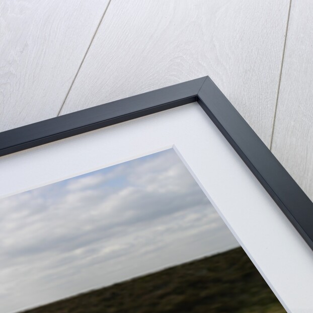 2004 Toyota Avensis Estate by Unknown