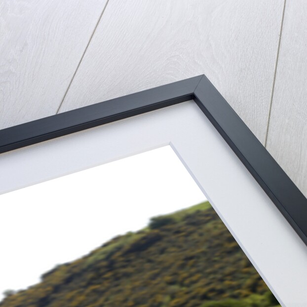 1967 Morris Mini Cooper by Unknown