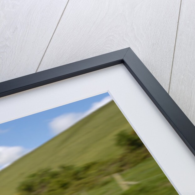 1967 Morris Mini Cooper by Unknown