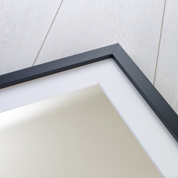 1967 Lotus Elan Coupe by Unknown