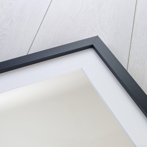 1967 Lotus Elan Coupe by Unknown