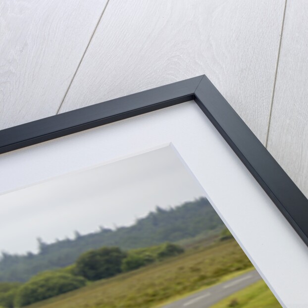 2005 Aston Martin DB9 by Unknown