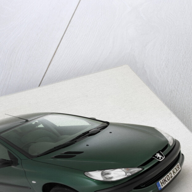 2002 Peugeot 206 Hdi by Unknown