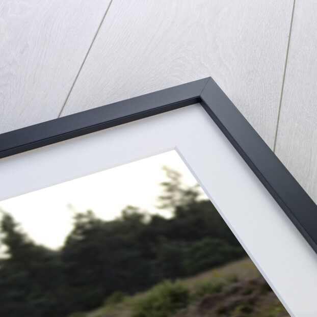 2005 Volvo V50 T5 by Unknown