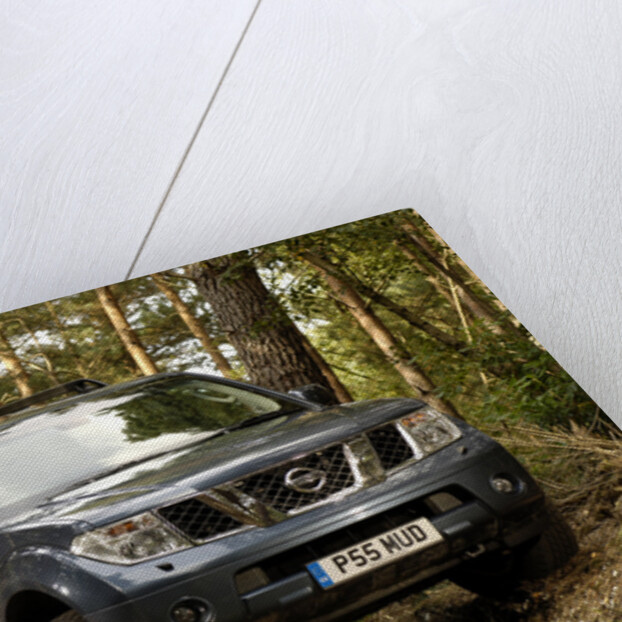 2005 Nissan Pathfinder 2.5 Tspec dci by Unknown