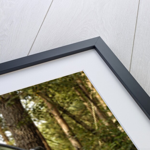 2005 Nissan Pathfinder 2.5 Tspec dci by Unknown