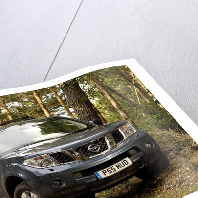2005 Nissan Pathfinder 2.5 Tspec dci by Unknown