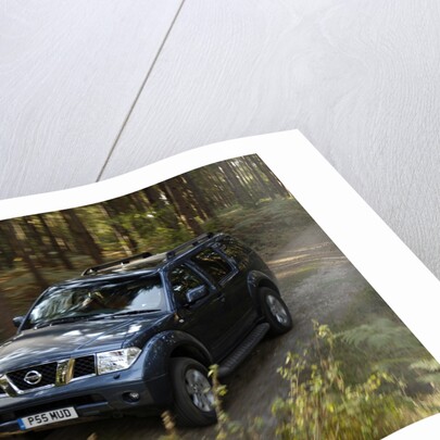 2005 Nissan Pathfinder 2.5 Tspec dci by Unknown