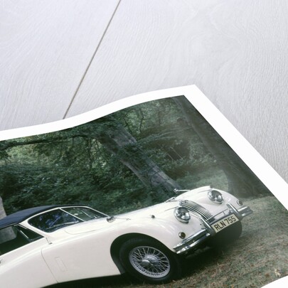 1954 Jaguar XK140 DHC by Unknown